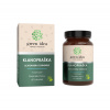 Green idea Klanopraška čínská bylinný extrakt - tobolky 60 ks Green idea Klanopraška čínská bylinný extrakt - tobolky 60 ks