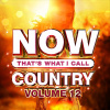 CD V/A - NOW THAT'S WHAT I CALL COUNTRY VOL.12 CD V/A - NOW THAT'S WHAT I CALL COUNTRY VOL.12