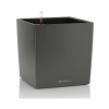 Lechuza Cube Premium All inclusive set anthracite metallic 30x30x30 cm Lechuza Cube Premium All inclusive set anthracite metallic 30x30x30 cm
