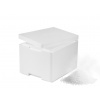SIAD Suchý ľad 10kg s Termoboxom Suchý ľad Pelety 3mm SIAD Suchý ľad 10kg s Termoboxom Suchý ľad Pelety 3mm