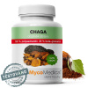 MycoMedica Chaga 50% vegán 90 kapsúl MycoMedica Chaga 50% vegán 90 kapsúl