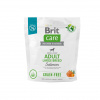 Brit Care Dog Grain-free Adult Large Breed - salmon and potato, 1kg Brit Care Dog Grain-free Adult Large Breed - salmon and potato, 1kg
