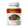 MycoMedica Coriolus Trúdnikovec Pestrý Extrakt Kapsuly 500mg 90 kapsúl MycoMedica Coriolus Trúdnikovec Pestrý Extrakt Kapsuly 500mg 90 kapsúl