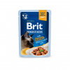 Brit Premium Cat Delicate Fillets in Gravy with Tuna 85 g Brit Premium Cat Delicate Fillets in Gravy with Tuna 85 g