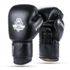 BUSHIDO Boxerské rukavice DBX Striker - 12oz. BUSHIDO Boxerské rukavice DBX Striker - 12oz.