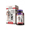 Enzycol DNA 100+40tob Enzycol DNA 100+40tob
