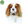 Rappa Plyšový pes King Charles španiel 25 cm ECO-FRIENDLY Rappa Plyšový pes King Charles španiel 25 cm ECO-FRIENDLY
