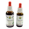 Bacopa Monnieri - Brahmi Bezalkoholová Tinktúra 50ml Bacopa Monnieri - Brahmi Bezalkoholová Tinktúra 50ml