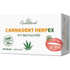 Cannaderm CANNADENT HERPEX 28 kapsúl Cannaderm CANNADENT HERPEX 28 kapsúl