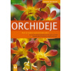 Orchideje - Zahrada pro radost - Frank Röllke Orchideje - Zahrada pro radost - Frank Röllke