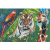 TREFL Puzzle Animal Planet: Úžasné zvieratá 300 dielikov TREFL Puzzle Animal Planet: Úžasné zvieratá 300 dielikov