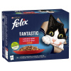 FELIX Fantastic Multipack 12x85g kura/hovädzie/králik/jahňacie v želé FELIX Fantastic Multipack 12x85g kura/hovädzie/králik/jahňacie v želé