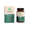 Green idea Kustovnice čínská bylinný extrakt - tobolky 60 ks Green idea Kustovnice čínská bylinný extrakt - tobolky 60 ks
