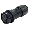 Bulgin PXP4011/10P/5560 guľatý konektor DIN, 1 ks; PXP4011/10P/5560 Bulgin PXP4011/10P/5560 guľatý konektor DIN, 1 ks; PXP4011/10P/5560
