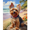 Diamantové maľovanie Norimpex 40x30 cm Jorkšírsky teriér na pláži Diamantové maľovanie Norimpex 40x30 cm Jorkšírsky teriér na pláži