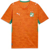 Puma Mens Ivory Coast Home Shirt World Cup 2026™ Orange/Green S Puma Mens Ivory Coast Home Shirt World Cup 2026™ Orange/Green S