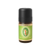 Primavera Éterický olej Kakao extrakt BIO - 5 ml Primavera Éterický olej Kakao extrakt BIO - 5 ml