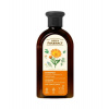 Green Pharmacy šampón na mastné vlasy Nechtík & Rozmarín 350 ml Green Pharmacy šampón na mastné vlasy Nechtík & Rozmarín 350 ml