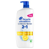 Head and Shoulders Šampón a kondicionér 2v1 Citrus Fresh (Anti-Dandruff Shampoo & Conditioner) 800 ml Head and Shoulders Šampón a kondicionér 2v1 Citrus Fresh (Anti-Dandruff Shampoo & Conditioner) 800 ml