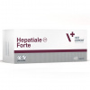 VETEXPERT Hepatiale Forte - doplňky stravy pro psy a kočky - 40 tablet VETEXPERT Hepatiale Forte - doplňky stravy pro psy a kočky - 40 tablet