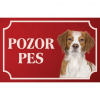 Bretónsky španiel - Kovová tabuľka POZOR PES Bretónsky španiel - Kovová tabuľka POZOR PES