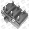 BorgWarner (BERU) Zapalovací cívka ZS406 BorgWarner (BERU) Zapalovací cívka ZS406