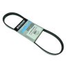 QUICKSILVER Remeň alternátora 57-8M0218433 Serpentine 8M0218433 QUICKSILVER Remeň alternátora 57-8M0218433 Serpentine 8M0218433