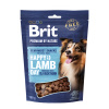 Brit Premium Dog by Nature SM Snacks Lamb 180 g Brit Premium Dog by Nature SM Snacks Lamb 180 g