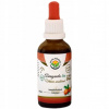 Salvia Paradise Ašvaganda Vitánie AF tinktura 50 ml Salvia Paradise Ašvaganda Vitánie AF tinktura 50 ml