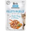 Kapsička pro kočky Brit Care, Fillets in Jelly with Turkey&Shrimps, 85 g Kapsička pro kočky Brit Care, Fillets in Jelly with Turkey&Shrimps, 85 g