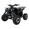 mamido Detská benzínová štvorkolka RamiGO WILDPEAK 110CC čierna mamido Detská benzínová štvorkolka RamiGO WILDPEAK 110CC čierna