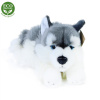 Rappa Plyšový pes husky ležiaci 30 cm ECO-FRIENDLY Rappa Plyšový pes husky ležiaci 30 cm ECO-FRIENDLY