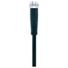 Escha AL-SKP4-5-AL-SSP4/S370 Spojovací kabel, 8044018, piny: 4, 5.0 m, 1 ks Escha AL-SKP4-5-AL-SSP4/S370 Spojovací kabel, 8044018, piny: 4, 5.0 m, 1 ks