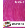 Directions Barva Carnation Pink 88ml Directions Barva Carnation Pink 88ml