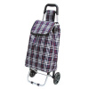 Strend Pro Vozík Gabor, PE/PVC, EVA, 25 kg, 35x30x94 cm, nákupný Strend Pro Vozík Gabor, PE/PVC, EVA, 25 kg, 35x30x94 cm, nákupný