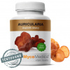 Auricularia Jidášovo ucho 90 kapslí MycoMedica Auricularia Jidášovo ucho 90 kapslí MycoMedica