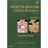 Netter Collection of Medical Illustrations - D. B. Kaminsky Netter Collection of Medical Illustrations - D. B. Kaminsky