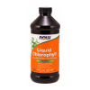 Now Foods Chlorofyl Liquid - Chlorofyl Liquid 473 ml Now Foods Chlorofyl Liquid - Chlorofyl Liquid 473 ml