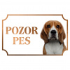 Bígl - Kovová tabuľka POZOR PES Bígl - Kovová tabuľka POZOR PES