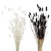 Boltze Dekoratívna vetvička rôzne farby 70 x 4 x 16 cm, 1 ks Boltze Dekoratívna vetvička rôzne farby 70 x 4 x 16 cm, 1 ks