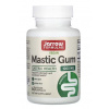Jarrow Formulas, Mastic Gum, 60 kapsúl Výživový doplnok Jarrow Formulas, Mastic Gum, 60 kapsúl Výživový doplnok