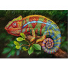 CHERRY PAZZI Puzzle Chameleon 1000 dielikov CHERRY PAZZI Puzzle Chameleon 1000 dielikov
