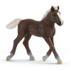 Schleich Schwarzwaldi žriebä Schleich Schwarzwaldi žriebä