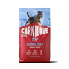 CARNILOVE ACTIVE Dog Dry Made with Salmon & Turkey pre Adult Small Breeds 4 kg CARNILOVE ACTIVE Dog Dry Made with Salmon & Turkey pre Adult Small Breeds 4 kg