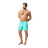 Speedo Essentials 16-inch Watershorts Mens Artic Glass L Speedo Essentials 16-inch Watershorts Mens Artic Glass L