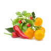Smart Garden Mix ovocia a zeleniny 3-pack PCW-082 Smart Garden Mix ovocia a zeleniny 3-pack PCW-082