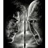 Obraz – Harry Potter vs Voldemort – PepéArt Obraz – Harry Potter vs Voldemort – PepéArt