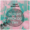 Dlouhý krok do tmy Dlouhý krok do tmy