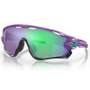 Oakley Jawbreaker Mtt Ele Purp Prizm Jade UNI Oakley Jawbreaker Mtt Ele Purp Prizm Jade UNI