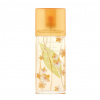 Elizabeth Arden Green Tea Nectarine Blossom EDT tester 100 ml (woman) Elizabeth Arden Green Tea Nectarine Blossom EDT tester 100 ml (woman)